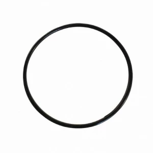 Уплотнительное кольцо для фильтров стандарта BB (150мм), Ita