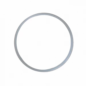 Уплотнительное кольцо для фильтров стандарта SL (90мм), Ita